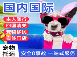 深圳航空货运国际宠物托运 【国